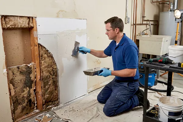 Mold and Drywall Repair Tustin