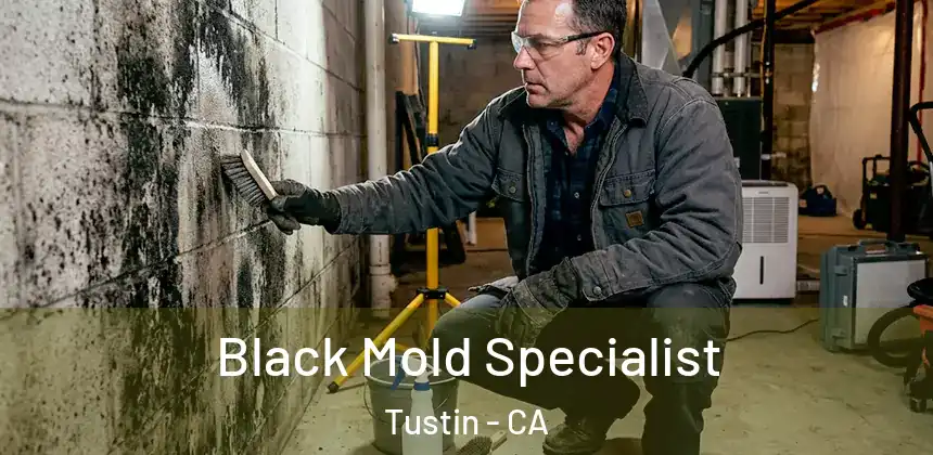  Black Mold Specialist Tustin - CA