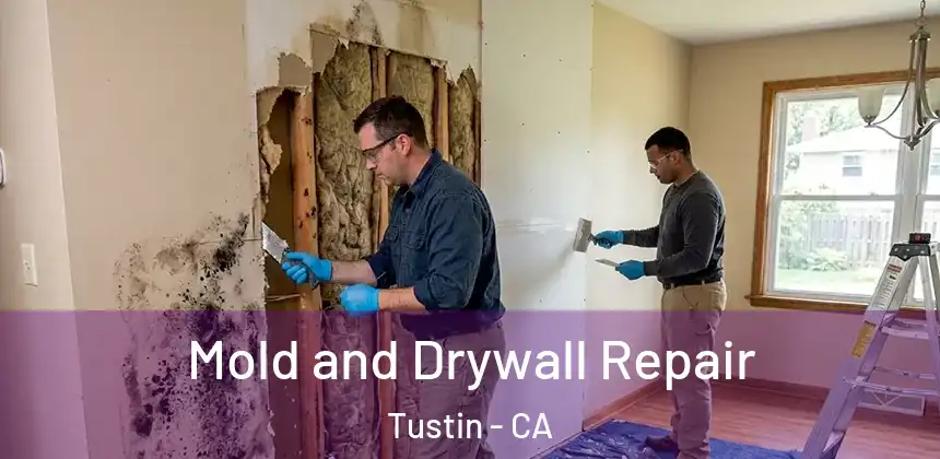 Mold and Drywall Repair Tustin - CA