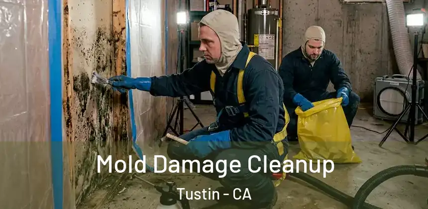 Mold Damage Cleanup Tustin - CA