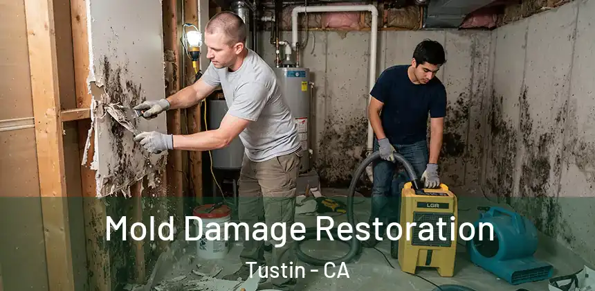  Mold Damage Restoration Tustin - CA
