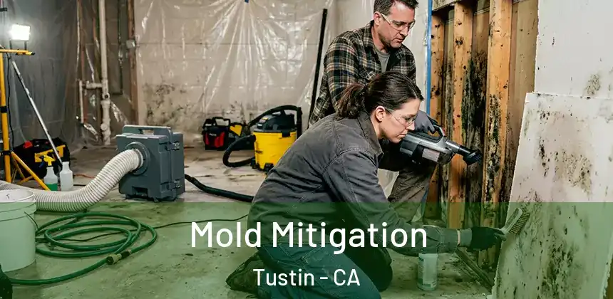Mold Mitigation Tustin - CA