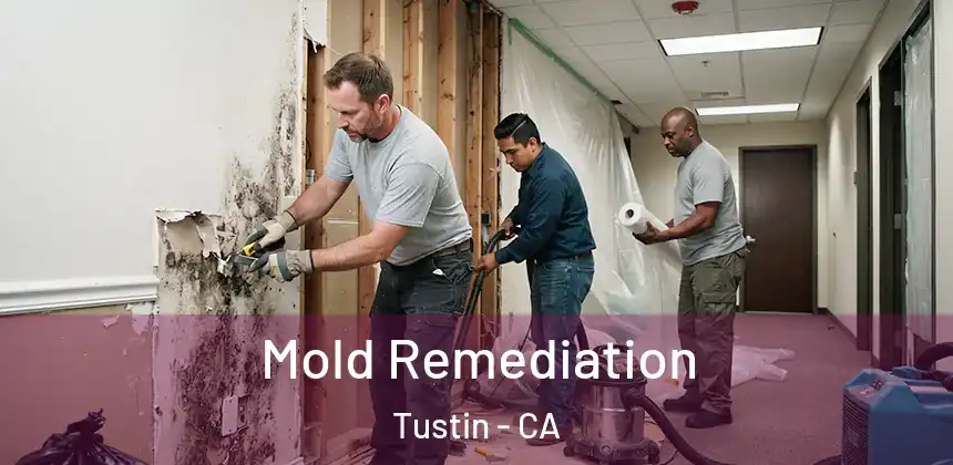  Mold Remediation Tustin - CA