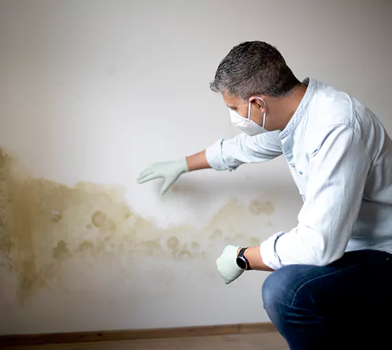 Mold Removal Service in Tustin, CA