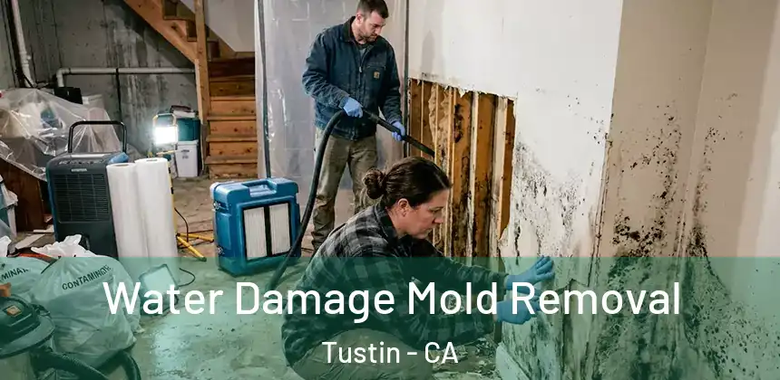  Water Damage Mold Removal Tustin - CA