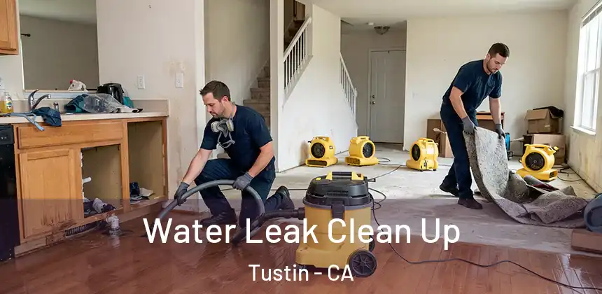  Water Leak Clean Up Tustin - CA